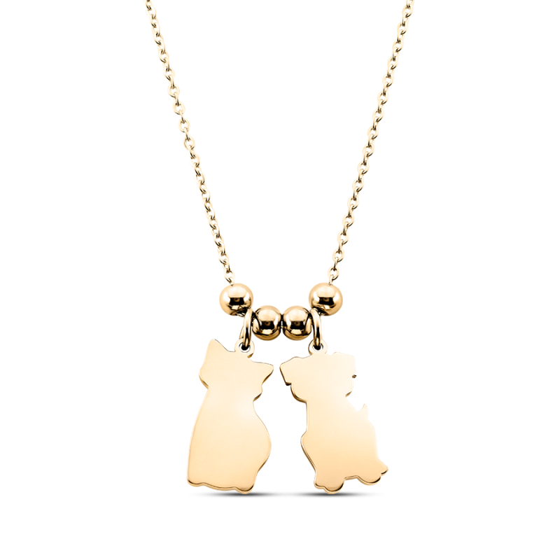 Gepersonaliseerde Kat & Hond Ketting - Gold - 62