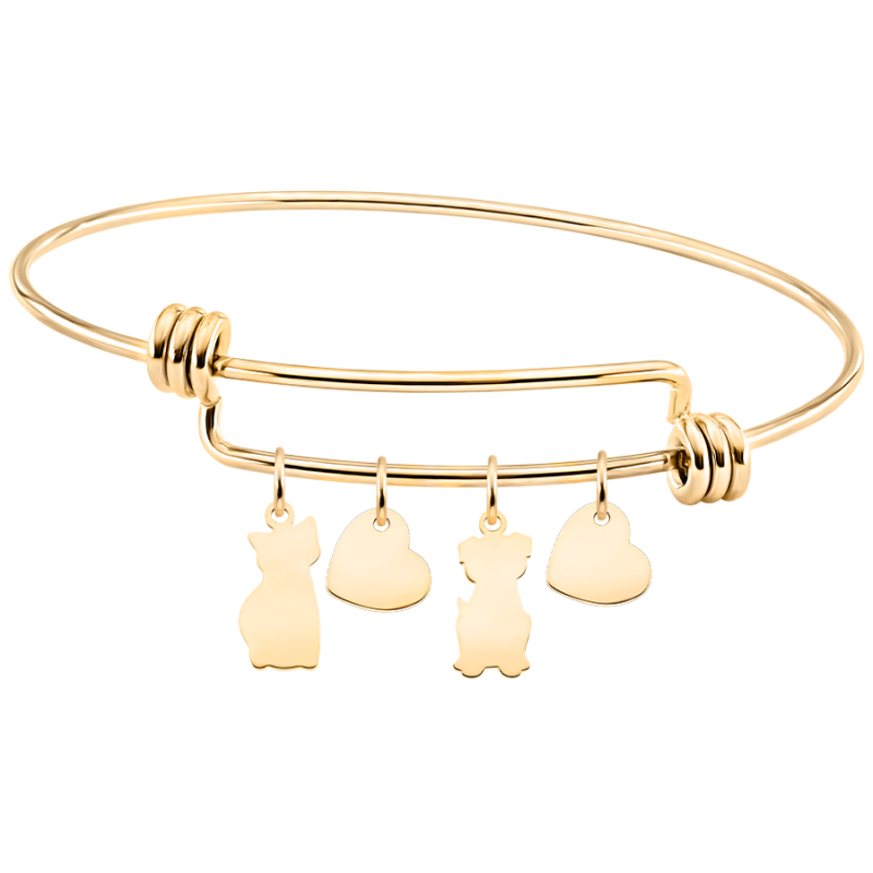 Gepersonaliseerde Kat en Hond Liefde  Bedelarmband - Gold - 62