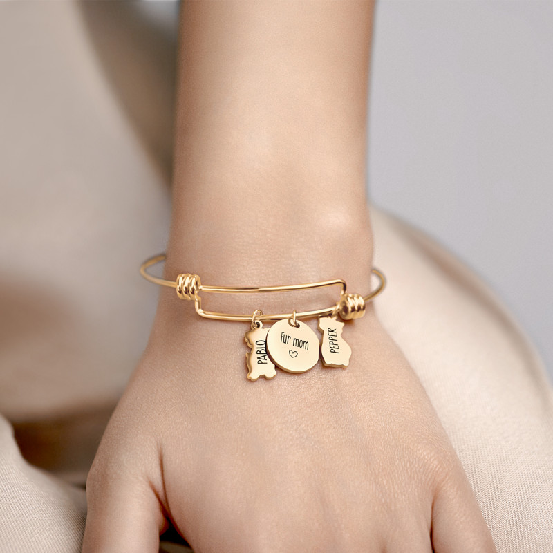 Gepersonaliseerde Hond & Kat Armband - Gold - 62