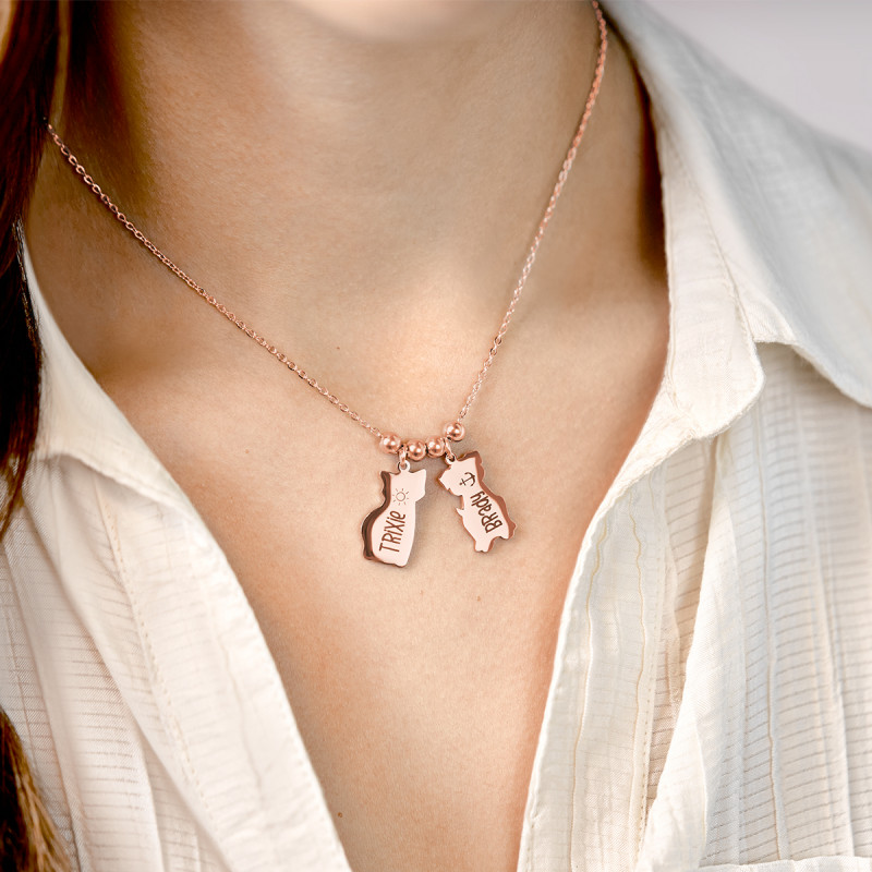 Gepersonaliseerde Kat & Hond Ketting - Rosegold - 61